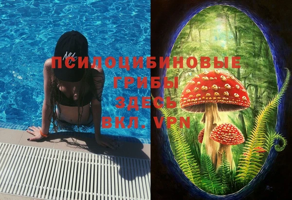 кокс Аркадак