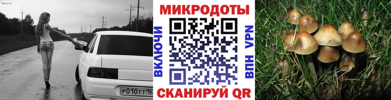 где продают   Междуреченск  Галлюциногенные грибы MAGIC MUSHROOMS 
